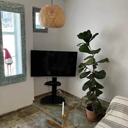 Zentrales Und Ruhiges Im Beliebtesten Bremer Viertel