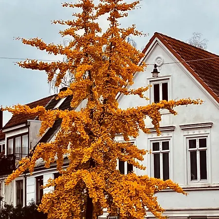 Zentrales Und Ruhiges Im Beliebtesten Bremer Viertel