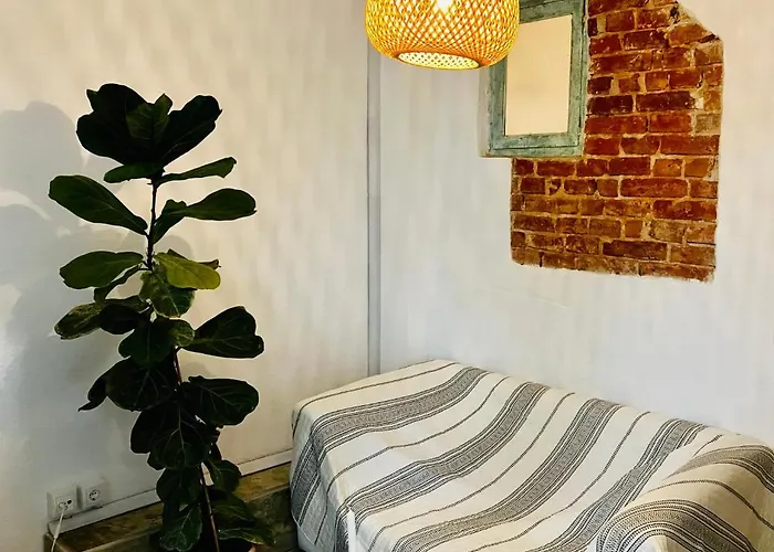 Appartement Zentrales Und Ruhiges Im Beliebtesten Bremer Viertel