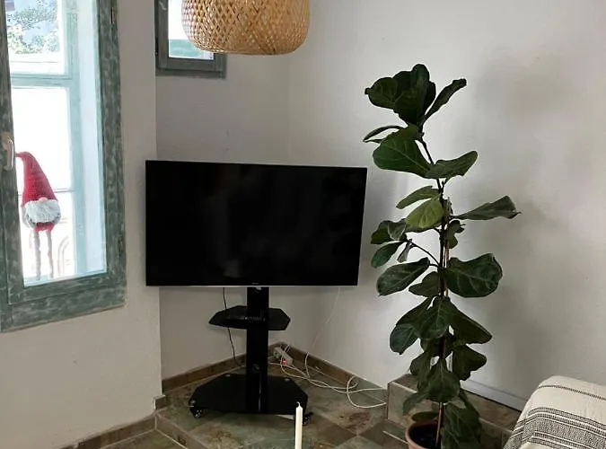 Zentrales Und Ruhiges Im Beliebtesten Bremer Viertel