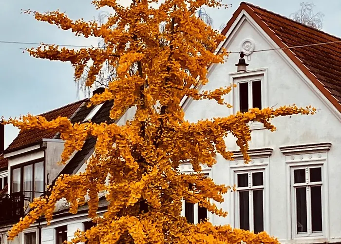 Zentrales Und Ruhiges Im Beliebtesten Bremer Viertel